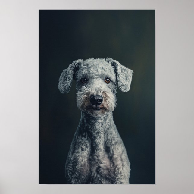 Poster Salon pour animaux de compagnie Bedlington Terrier (Devant)