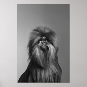 Poster Salon pour animaux de compagnie Boutique Affenpins