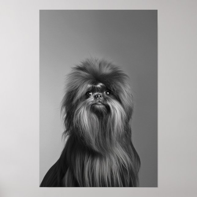 Poster Salon pour animaux de compagnie Boutique Affenpins (Devant)