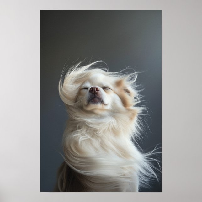 Poster Salon pour animaux de compagnie Boutique Chihuahua (Devant)