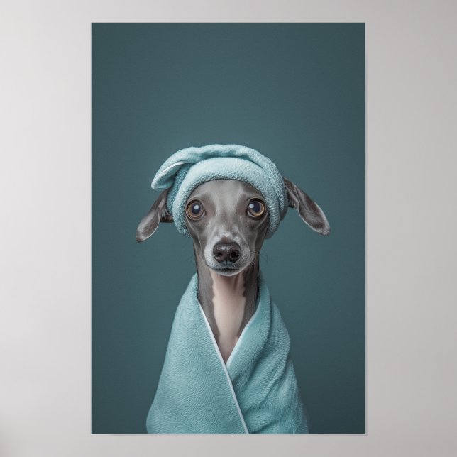 Poster Salon pour animaux de compagnie Italien Greyhound  (Devant)
