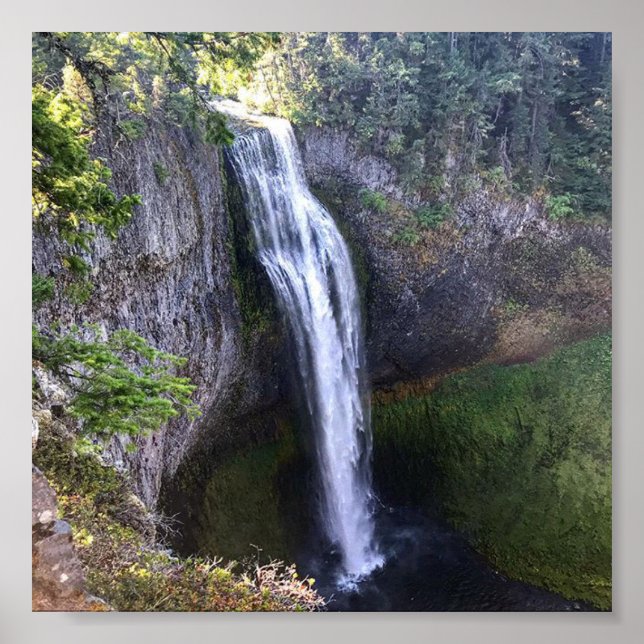 Poster Salt Creek Falls (Devant)