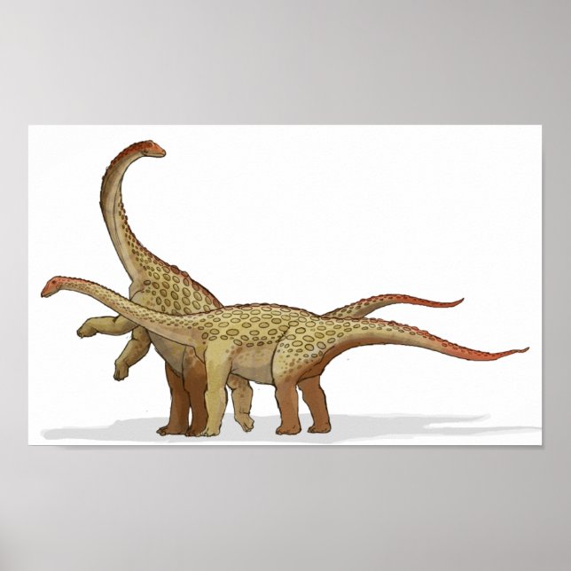 Poster Saltasaurus - Portefeuille de dinosaures crétacés (Devant)