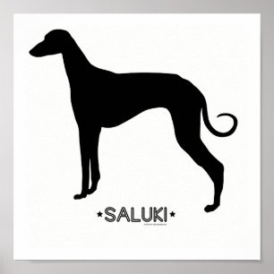 Poster Saluki Print