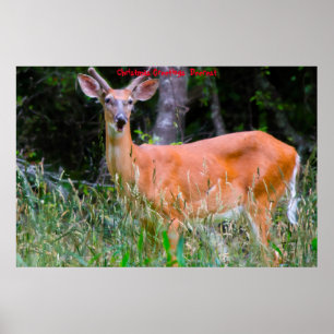 Poster Salutations de Noël