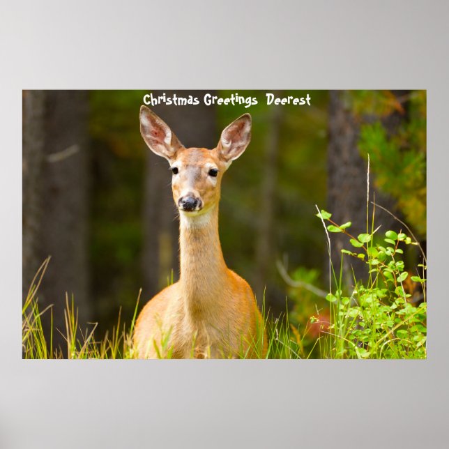 Poster Salutations de Noël (Devant)