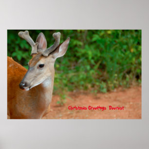 Poster Salutations de Noël