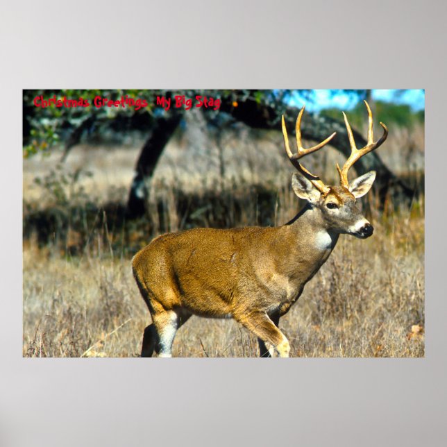 Poster Salutations de Noël Mon Big Stag (Devant)