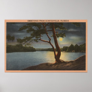Poster Salutations de Sumterville, Floride - Lune