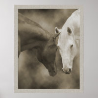 Salutations du cheval