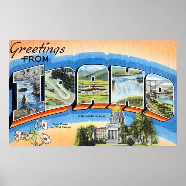 Poster Salutations vintages De Idaho Travel (Devant)