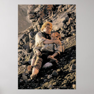 Poster Sam Holding FRODO™