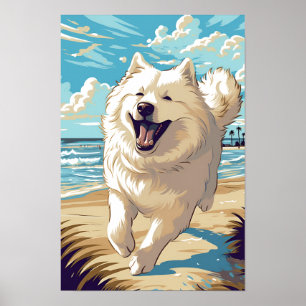 Poster Samoyé à la plage