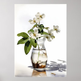 Poster Sampaguita, alias Jasminum Sambac