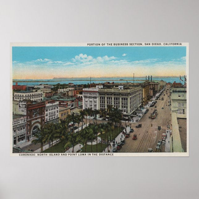 Poster San Diego, CA - Oiseaux Vue du centre-ville (Devant)