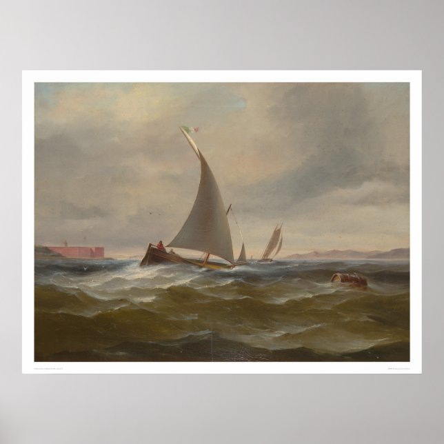 Poster San Francisco Bay Felluca (1314) (Devant)