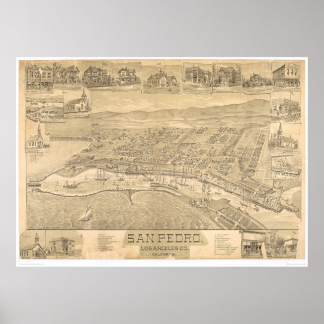 Poster San Pedro, CA. Carte panoramique 1895 (1319A) (Devant)