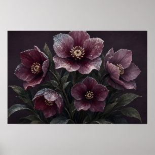Poster Sanctuaire Floraison de Givre Hellebore d'Hiver Af