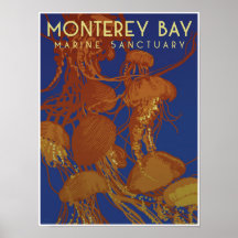 Sanctuaire marin de la baie de Monterey; méduses