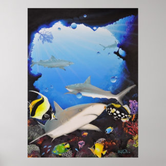 Poster sanctuaryoftheshark