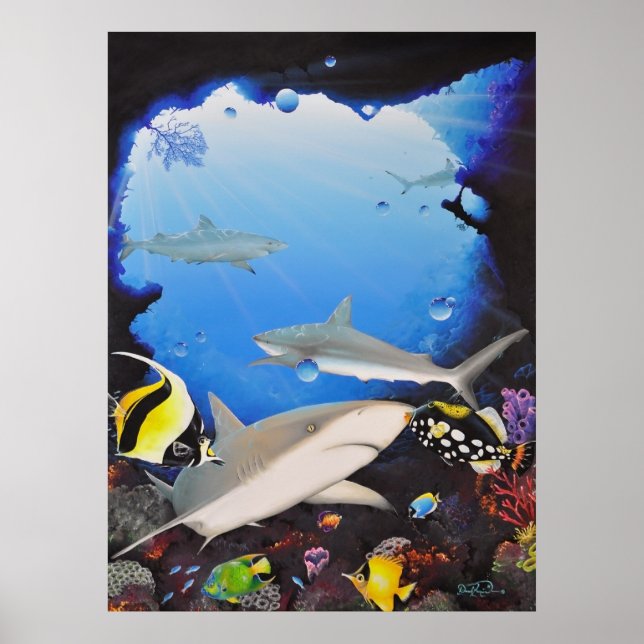 Poster sanctuaryoftheshark (Devant)