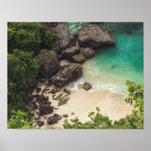 Poster Sandy Beach Cove avec arbres verts, rochers et océ