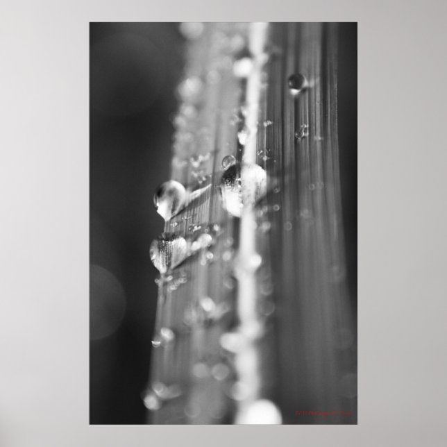 Poster Sans titre (Devant)