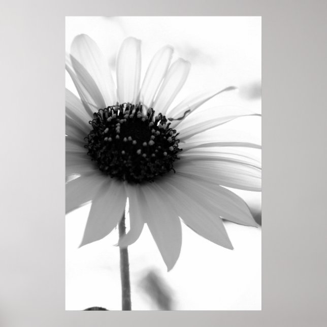 Poster sans titre (Devant)