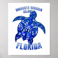 Sarasota Barrier Floride Vacances Tortue tribale