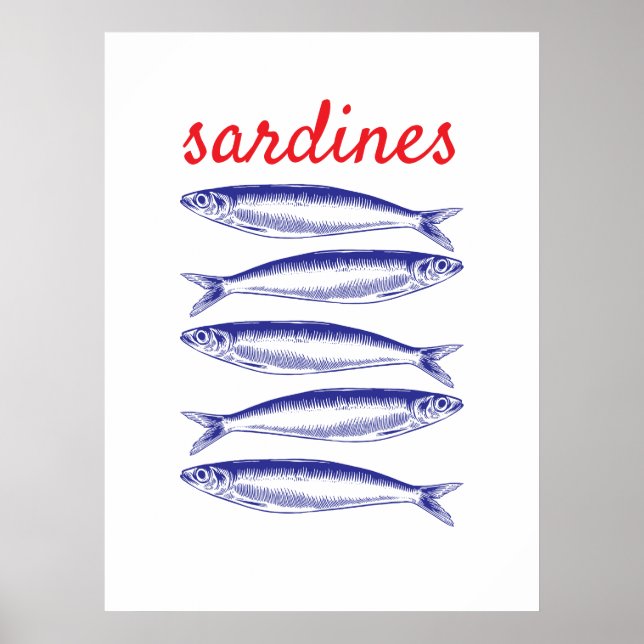 Poster Sardines (Devant)