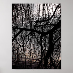 POSTER SAULE PLEUREUR D'HIVER