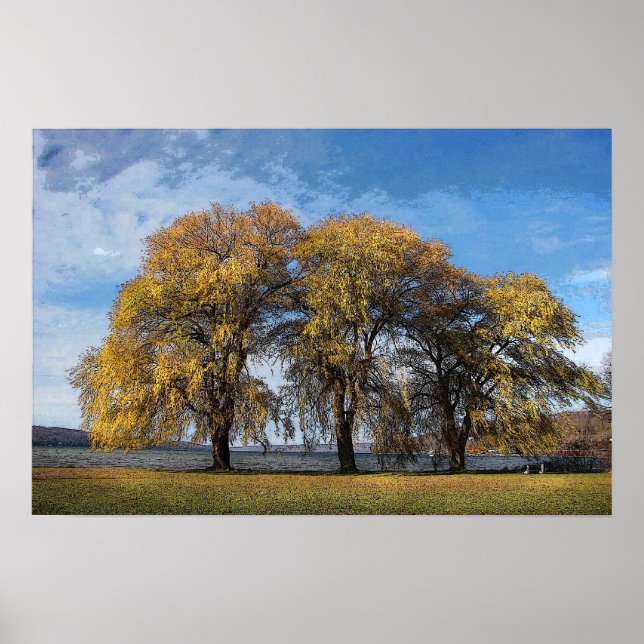 Poster Saules d'or (Devant)