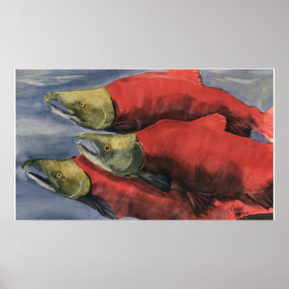 Poster Saumon de Slamon !