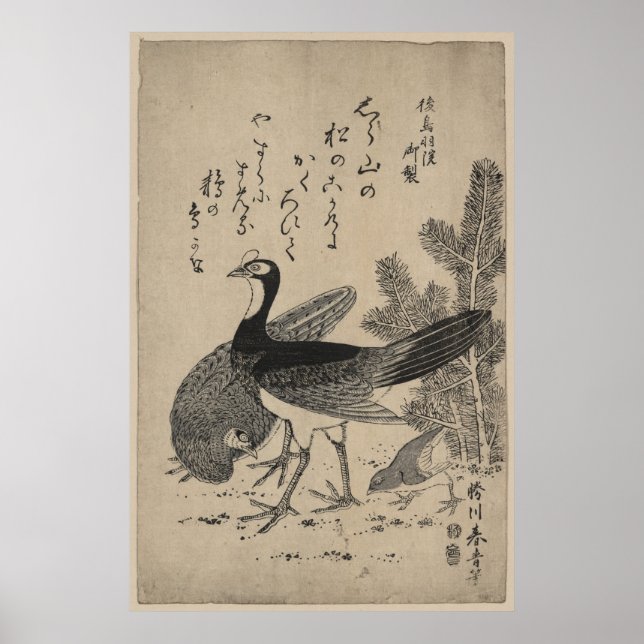 Poster Saumon et pin (Devant)