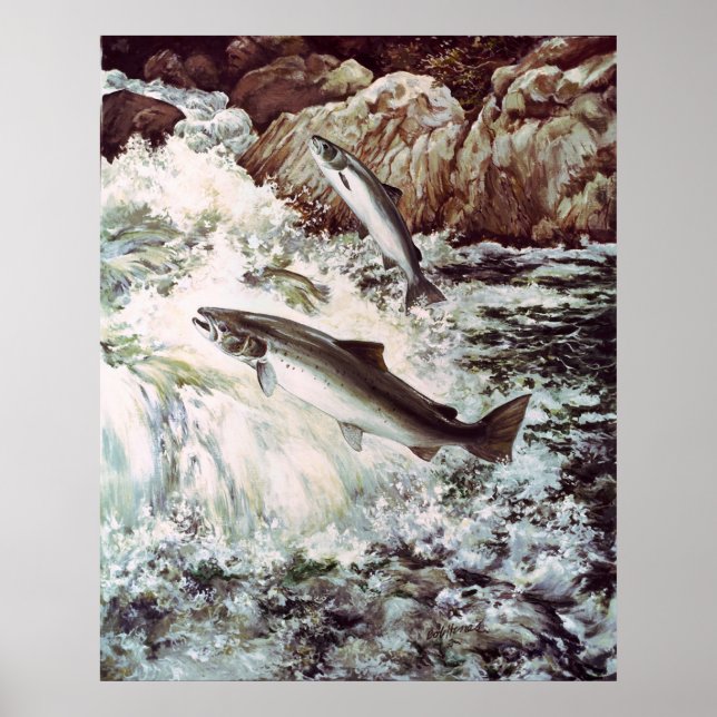Poster saumon nageant en amont (Devant)
