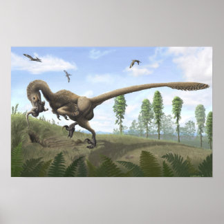 Poster Saurornitholestes Imprimer