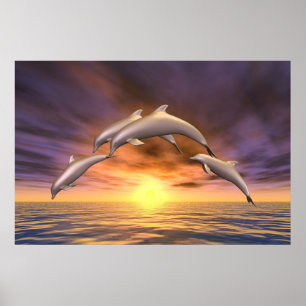 Poster Saut de lever de soleil