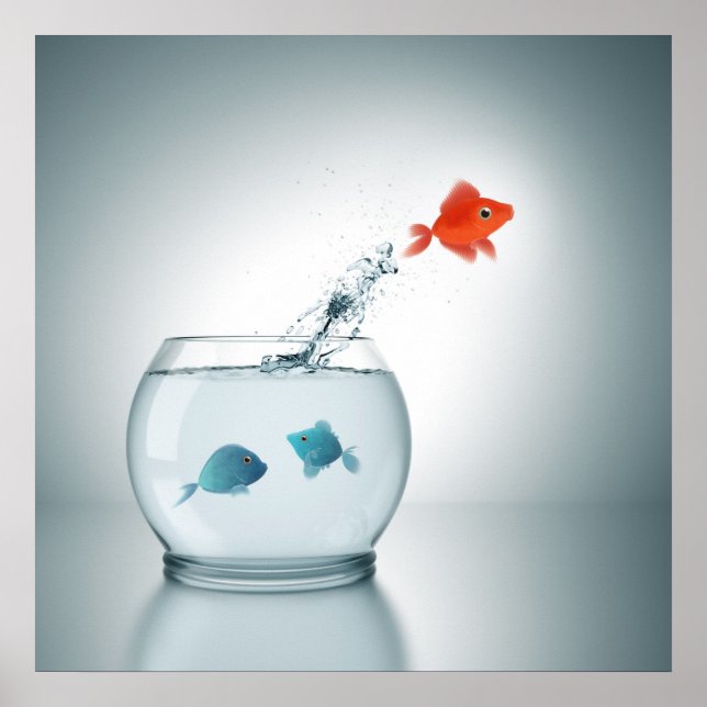 Poster saute de poisson rouge (Devant)