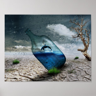 Poster Sauter l'orque en bouteille