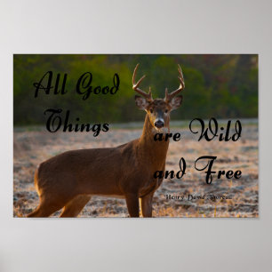 Poster Sauvage et libre, Thoreau