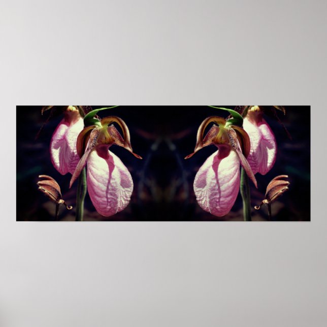 Poster Sauvage rose Lady Slipper Orchid Pair Mirror (Devant)