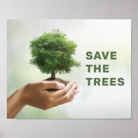 Sauver Les Arbres Mains Tenant Un Arbre Photo Éco