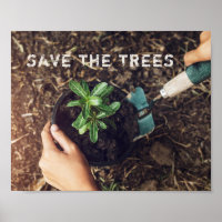 Sauver Les Arbres Plantation D'arbres Environnemen