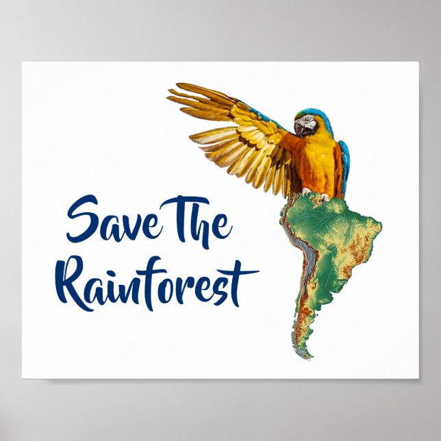 Poster Sauvez La Rainforest (Devant)