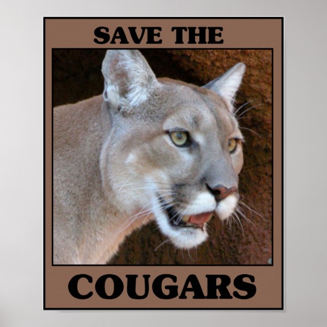 Poster Sauvez le Cougar (Devant)