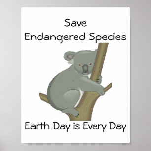 Poster Sauvez les espèces en péril Koala 