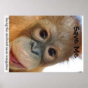 Poster Sauvez les orangs-outans et la forêt tropicale
