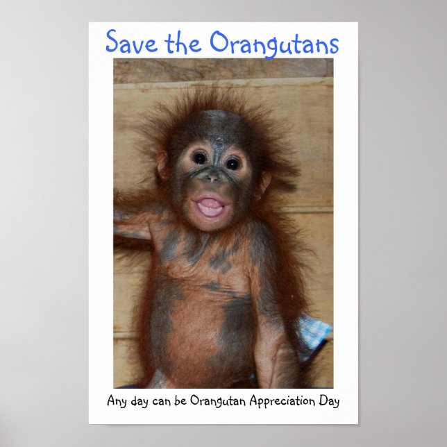 Poster Sauvez les Orangutans (Devant)