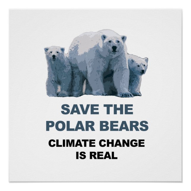 Poster Sauvez les ours polaires ! (Devant)