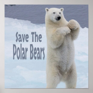 Poster Sauvez Les Ours Polaires